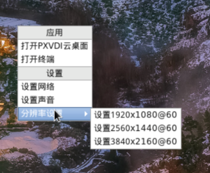 PXVDI client